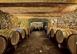 Image result for Lynfred Teroldego