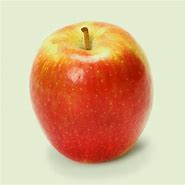 Image result for Washington Apple Variety