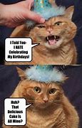 Image result for Funny Birthday Cat Memes for Women