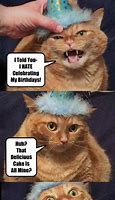 Image result for Cake and Cat Memes Clean