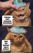 Image result for Funny Birthday