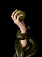 Image result for Snake On Apple Aesthetic