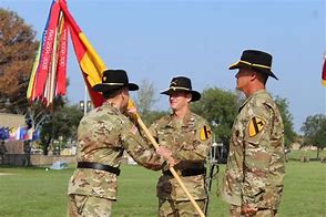 Image result for 1st Cavalry Division Units in Brigade 75