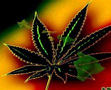 Image result for Cool Weed Wallpapers for PC