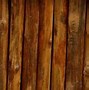Image result for Coyote Fence Wall