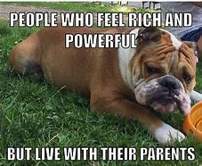 Image result for American Bulldog Memes