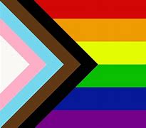 Image result for All LGBTQIA Flags