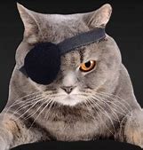 Image result for PS4 Cat Avatar