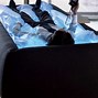 Image result for Water Floating Bed