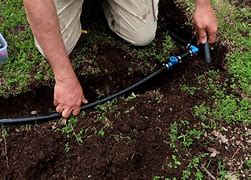 Image result for Watering Trees with Sprinkler System