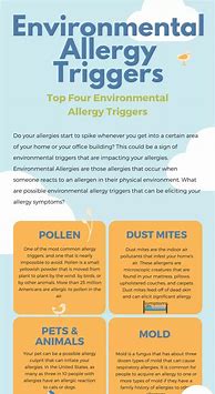Image result for Environmental Allergies Infographic
