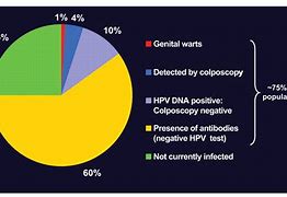 Image result for Human Papillomavirus Adherens
