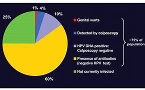 Image result for Human Papillomavirus Infection in Men