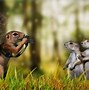 Image result for Funny Animal Wallpaper for Phone