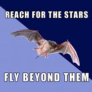 Image result for Space Bat Meme