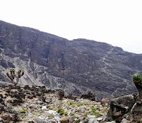 Image result for Kilimanjaro National Park, Tanzania