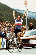 Image result for Bernard Hinault Cyclist