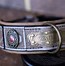 Image result for Cool Dog Collars