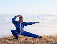 Image result for Northern Shaolin