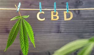 Image result for http the cbd blogs