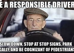 Image result for Funny Driver Pics