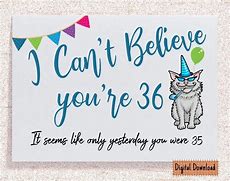 Image result for Birthday Wish Meme Cat 36th