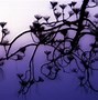Image result for Purple Haze Wallpaper