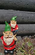 Image result for Green Hat Gnome Meme