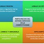 Image result for competitividad