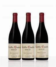 Image result for Michel Bonnefond Ruchottes Chambertin