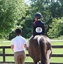 Image result for Horse Boarding & Training