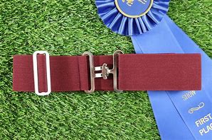 Image result for iPhone Belt for Equestrians