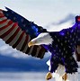 Image result for Bald Eagle American Flag Poster