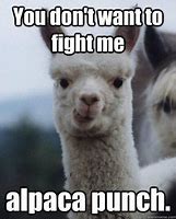 Image result for Alpaca Bad Day Meme