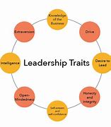 Image result for Personality Profiles Leadership
