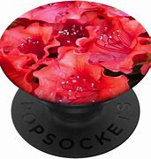 Image result for Pretty Popsockets