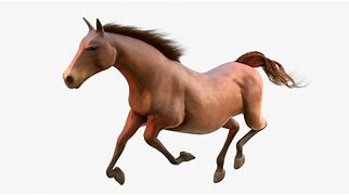 Image result for Horse Animation Shape