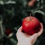 Image result for How Many Calories in an Apple