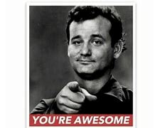 Image result for Bill Murray You're Awesome JPEG Large