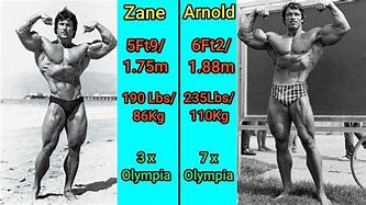 Image result for Frank Zane and Arnold
