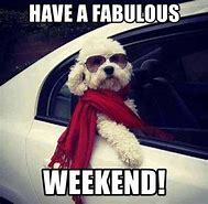 Image result for Weekend Party Meme