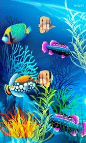 Image result for Colour Fish Aquarium Wallpaper