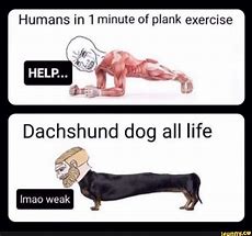 Image result for Dachshund Do Plank Meme
