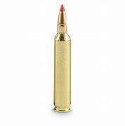 Image result for Hornady 223 Ammo