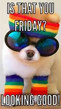 Image result for Friday Greetings Funny