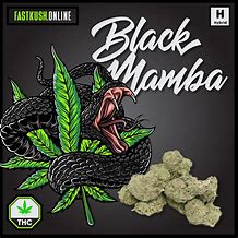 Image result for Black Mamba Brand