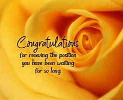 Image result for Congrats On a New Job Message