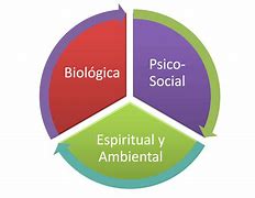Image result for Que ES Ser Social Biologia