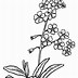 Image result for Flores Para Pintar