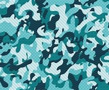 Image result for Stryke Camo